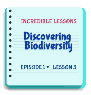 Discovering Biodiversity Episode 1 Lesson 3