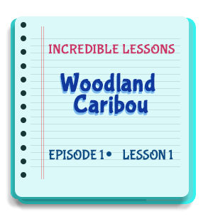 Woodland Caribou Episode 1 Lesson 1