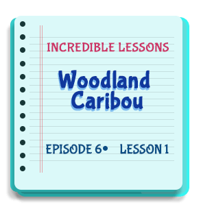 Woodland Caribou Episode 6 Lesson 1
