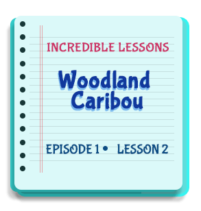 Woodland Caribou Episode 1 Lesson 2