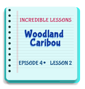 Woodland Caribou Episode 4 Lesson 2
